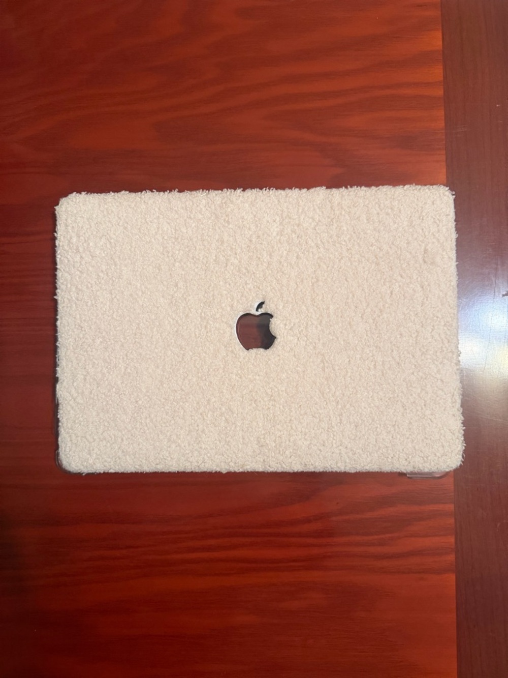 🧸 13” Teddy Fuzzy MacBook Air case